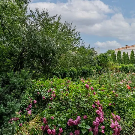 Old Town Standard By Bookinghost Lejlighed Kraków