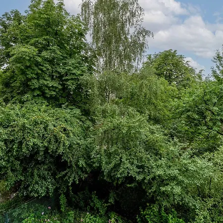 Old Town Standard By Bookinghost Kraków