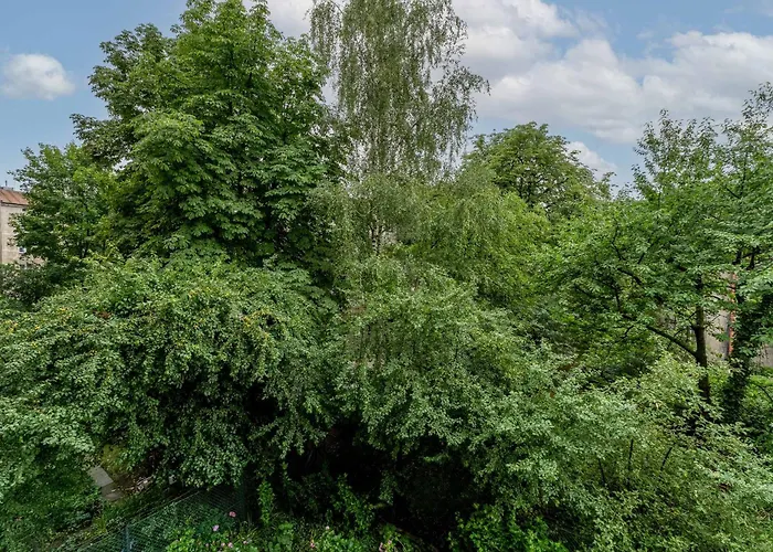 Old Town Standard By Bookinghost Kraków